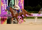 Mikki Fight wins the 2025 Teio Sho at Oi Racecourse
ridden by Christophe Lemaire, trained by Hiroyasu Tanaka, and owned by Mrs. Mizuki Noda