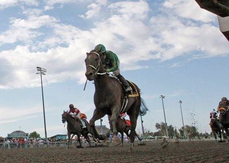 Slew's Tiz Whiz wins the 2025 Governor's Stakes at Emerald Downs