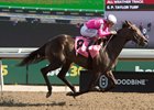 Jockey John Velazuez guides No Time to victory in the 70th Running of $500,000 Woodbine Oaks presented by Stella Artois. No Time is owned by Gary Barber and trained by Mark Casse. Woodbine/Michael Burns Photo