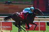 Shakti, Maiden Win, Saratoga Race Course, July 19 2025