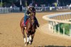 La Cara  with exercise rider Mary Rose Hitt gallops at the Saratoga Race Course  Wednesday July 16, 2025 in preparation for Saturdays Coaching Club American Oaks in Saratoga Springs, N.Y.  Photo by Skip Dickstein