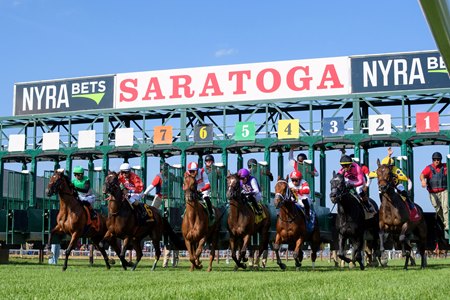 Racing on the Saratoga Race Course turf