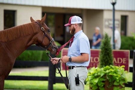 Christon Jackson, buyer liaison for Taylor Made Farm