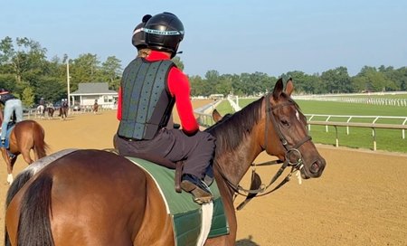Kilwin waits to train on the Oklahoma Training Track at Saratoga Race Course