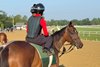 Kilwin waits to train at Saratoga&#39;s Oklahoma Training Track with Johnathan Monge aboard