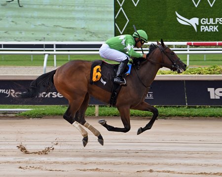 Chucky's Ride breaks her maiden at Gulfstream Park