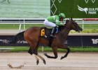 Chucky&#39;s Ride, Maiden Win, Gulfstream Park, July 5 2025
First winner for Uncle Chuck