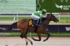 Chucky&#39;s Ride, Maiden Win, Gulfstream Park, July 5 2025
First winner for Uncle Chuck