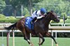 Echo Sound wins the 2025 Victory Ride Stakes at Saratoga Race Course