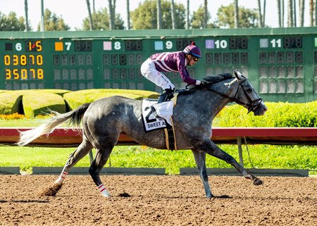 Sweet Azteca wins the Great Lady M Stakes at Los Alamitos