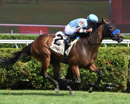Italian Soiree wins the Coronation Cup Stakes at Saratoga Race Course