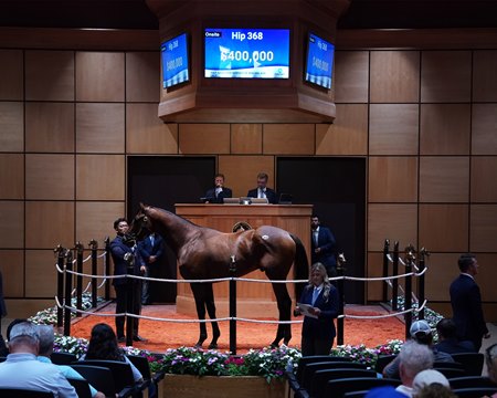 Delancey Street, consigned as Hip 368, in the ring at the F-T July Horses of Racing Age Sale