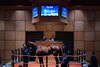 Hip 368, 2025 Fasig-Tipton July HORA Sale