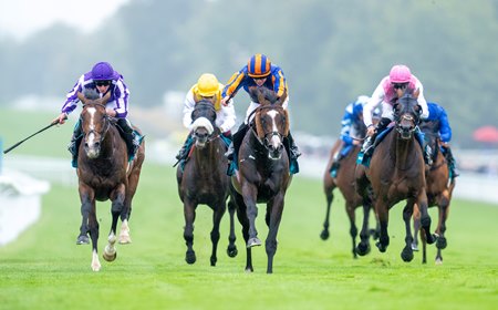 Scandinavia (center) beats Illinois in the Goodwood Cup at Goodwood