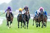 Scandinavia (Wayne Lordan) beats Illinois (Ryan Moore) in the Goodwood Cup
Goodwood 29.7.25 Pic: Edward Whitaker