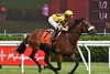 Far Bridge wins the 2025 Bowling Green Stakes at Saratoga Race Course