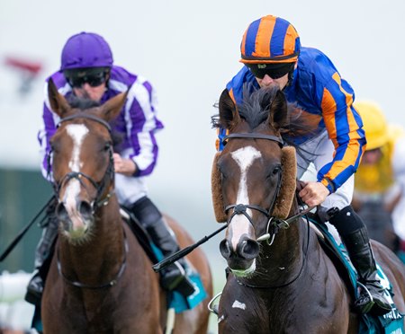 The Justify colt Scandinavia (right) wins the Goodwood Cup at Goodwood Racecourse