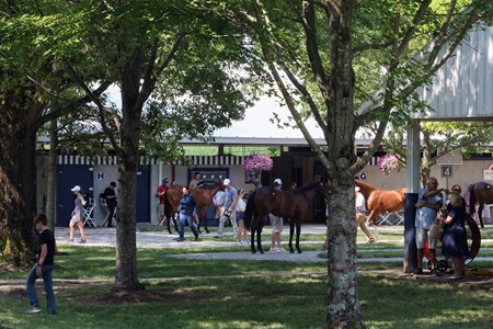 The 2025 Fasig-Tipton July Selected Yearlings and Horses of Racing Age Sale