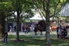 Scenics, 2025 Fasig-Tipton July Sale