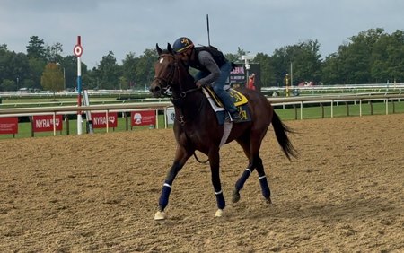 Scottish Lassie trains at Saratoga Race Course