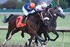 Cornishman wins 2025 Cornhusker Handicap at Prairie Meadows