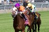 Jockey Fraser Aebly guides Cruden Bay to victory in the $175,000 bet365 Connaught Cup (Grade II) over the E.P.Taylor Turf Course. Cruden Bay is owned by Michael Lay and trained by Donald C. MacRae. Woodbine/Michael Burns Photo