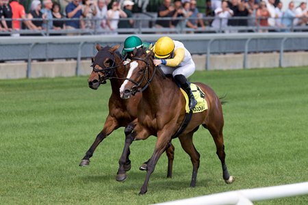 Ready for Shirl (inside), who boasts a family with plenty of top-level success, wins the Canadian Stakes at Woodbine