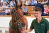 Lot 575, 2025 Tattersalls July Sale