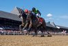Thorpedo Anna wins the 2025 Personal Ensign Stakes at Saratoga Race Course, Saratoga Springs, NY, 8-23-25, Mathea Kelley-Bloodhorse 
