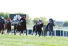 Ag Bullet wins the 2025 Ladies Turf Sprint Stakes at Kentucky Downs