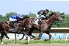 Surface to Air wins the Philip H. Iselin Stakes at Monmouth Park