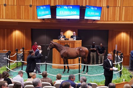 The Into Mischief colt consigned as Hip 178 in the ring at the Fasig-Tipton Saratoga Sale