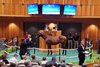 Hip 178, 2025 Fasig-Tipton Saratoga Sale