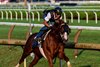 Antiquarian with jockey John Velazquez  breezed this morning on the main track at the Saratoga Race Course Saturday Aug.9, 2025 in Saratoga Springs, N.Y.  Antiquarian’s next start may be the Jockey Club Gold Cup on August 31st.  Skip Dickstein Photo