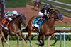 Hope Road with Jose Ortiz wins the Resorts World Casino Ballerina S. (Grade I) at Saratoga Race Course in Saratoga Springs, NY., on August 23rd, 2025.