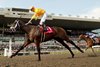 Jockey Pietro Moran guides Mansetti to victory in the 166th running of the $1,000,000 King&#39;s Plate in a time of 2.02.1 for the 1Mi.1/4. Mansetti is owned by Al and Bill Ulwelling and trained by Kevin Attard. Woodbine/Michael Burns Photo
