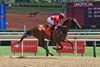 Delightful Claire, Maiden Win, Saratoga Race Course, August 2 2025