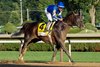 Sovereignty with Junior Alvarado wins the DraftKings Travers S. (Grade I) at Saratoga Race Course in Saratoga Springs, NY., on August 23rd, 2025.