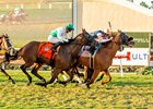 Gold Phoenix and jockey Flavien Prat, middle, overpower Stay Hot (Mike Smith), inside, and Truly Quality (Umberto Rispoli), outisde, to win the Grade II, $300,000 Del Mar Handicap, Saturday, August 30, 2025 at Del Mar Thoroughbred Club, Del Mar CA.
© BENOIT PHOTO,