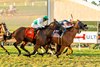 Gold Phoenix and jockey Flavien Prat, middle, overpower Stay Hot (Mike Smith), inside, and Truly Quality (Umberto Rispoli), outisde, to win the Grade II, $300,000 Del Mar Handicap, Saturday, August 30, 2025 at Del Mar Thoroughbred Club, Del Mar CA.
&#169; BENOIT PHOTO,