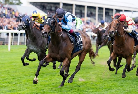 Asfoora wins the Nunthorpe Stakes at York Racecourse