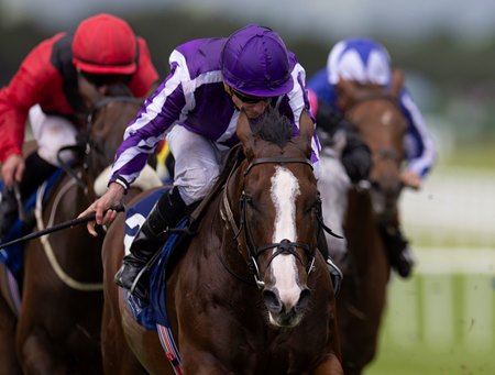 Diego Velazquez wins the Minstrel Stakes at the Curragh