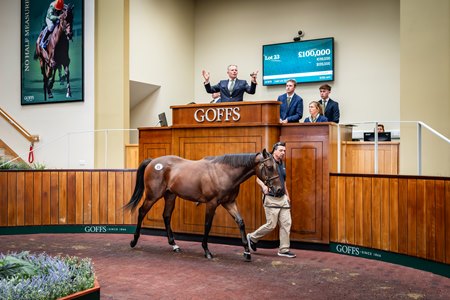 2025 Goffs UK Premier Yearling Sale, Lot 23