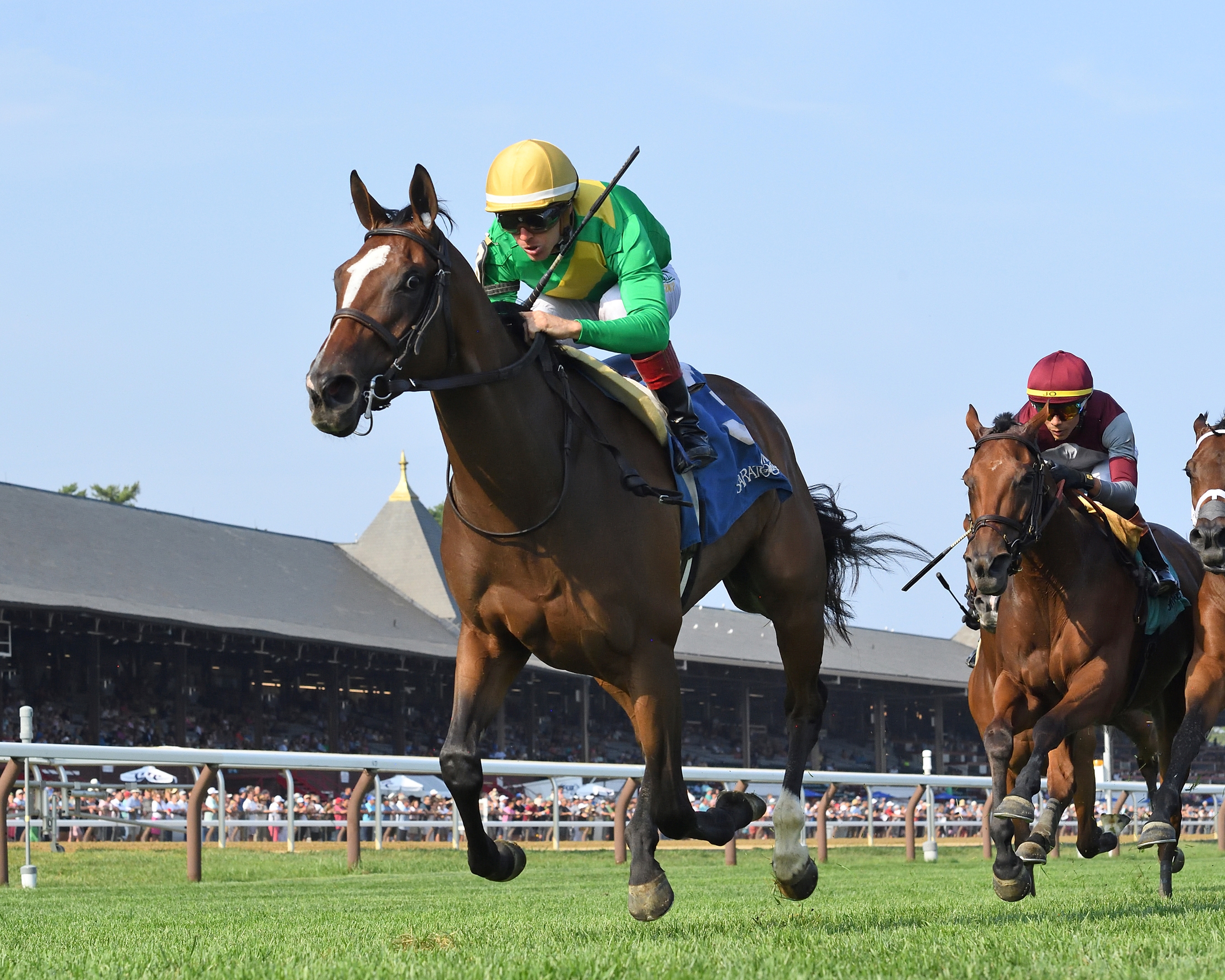 2024 BREEDERS' CUP まとめセット 2024 BREEDERS' CUP: JAPANESE HORSES PREVIEW - YouTube