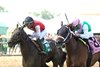 IMPEL wins the 2025 Groupie Doll Stakes at Ellis Park