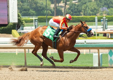 Desert Gate wins his debut at Santa Anita Park