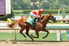 Desert Gate wins his debut at Santa Anita Park
