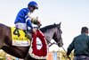 Sovereignty wins the 2025 Travers Stakes at Saratoga Race Course