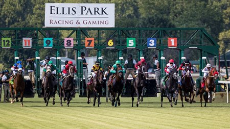 Racing at Ellis Park