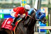 Dr. Venkman and jockey Umberto Rispoli win the Grade II $250,000 Pat O’Brien Stakes Saturday, August 23, 2025 at Del Mar Thoroughbred Club, Del Mar, CA.  
Benoit Photo
